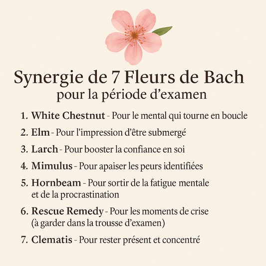 Synergie de 7 Fleurs de Bach pour traverser la période d'examen avec sérénité et confiance