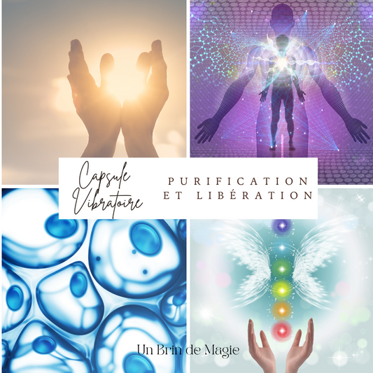 Capsule Vibratoire – Purification & Libération
