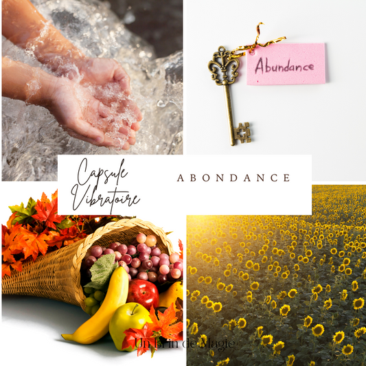 💎 PACK VIBRATOIRE ABONDANCE