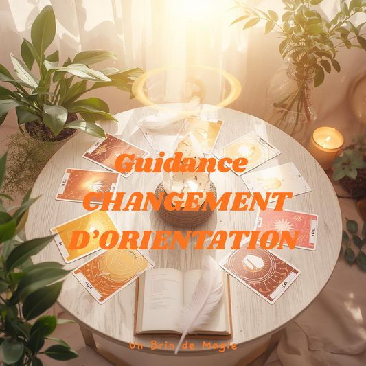 GUIDANCE PROFESSIONNELLE – LE TIRAGE DU CHANGEMENT D’ORIENTATION