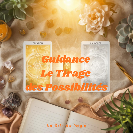 GUIDANCE PROFESSIONNELLE – LE TIRAGE DES POSSIBILITÉS