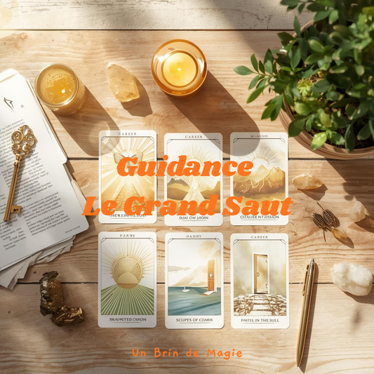 Guidance Professionnelle – Le Tirage du Grand Saut